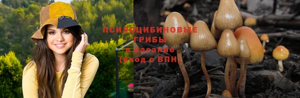 гашик Покров