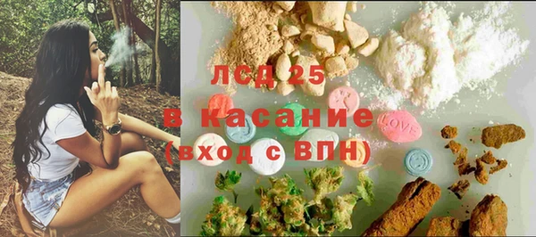 ПСИЛОЦИБИНОВЫЕ ГРИБЫ Покачи