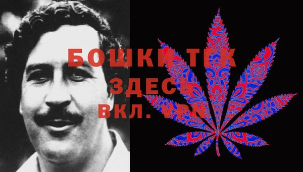 ПСИЛОЦИБИНОВЫЕ ГРИБЫ Покачи