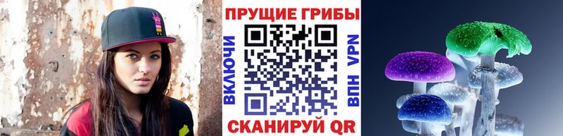 гидра как зайти  Светогорск  Псилоцибиновые грибы Psilocybine cubensis 