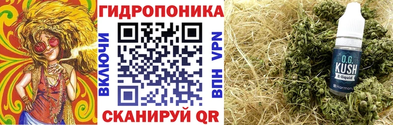 Марихуана гибрид  продажа наркотиков  МЕГА вход  Светогорск 